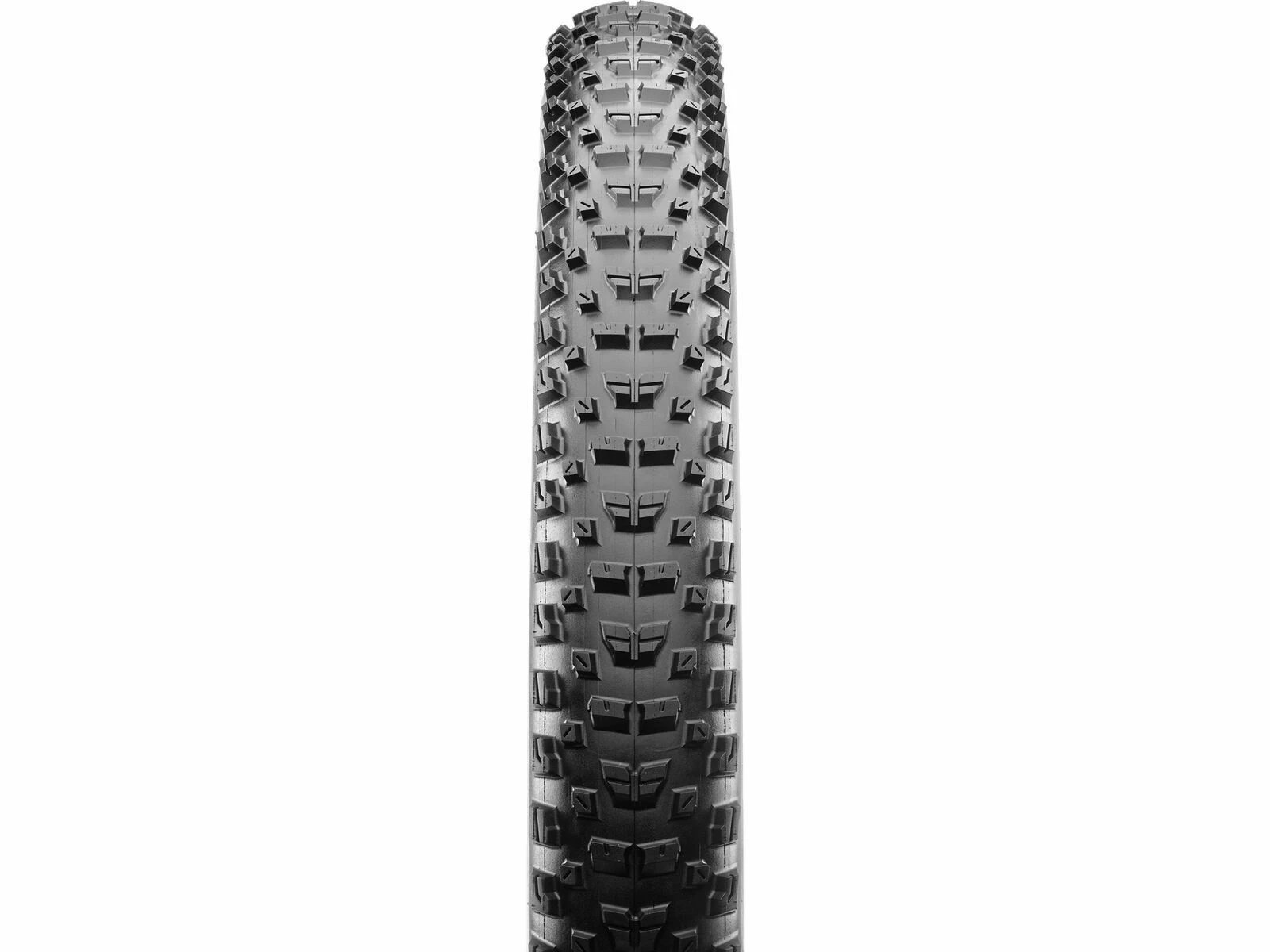 Maxxis Rekon 3C MaxxTerra EXO WT TR - 29 Zoll – Bild 2